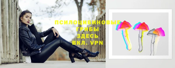 сатива Армянск