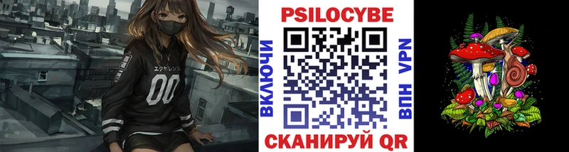 Псилоцибиновые грибы GOLDEN TEACHER  наркотики  Солнечногорск 